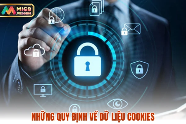 Những quy định về dữ liệu Cookies