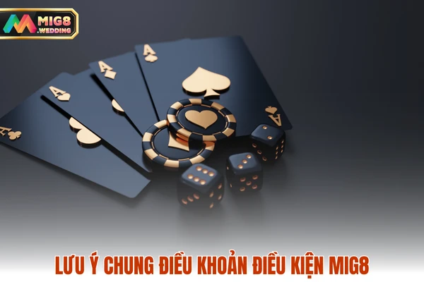 Lưu ý chung điều khoản điều kiện MIG8