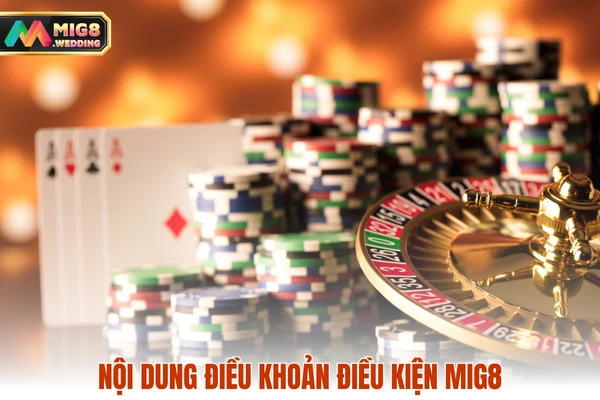 Nội dung điều khoản điều kiện MIG
