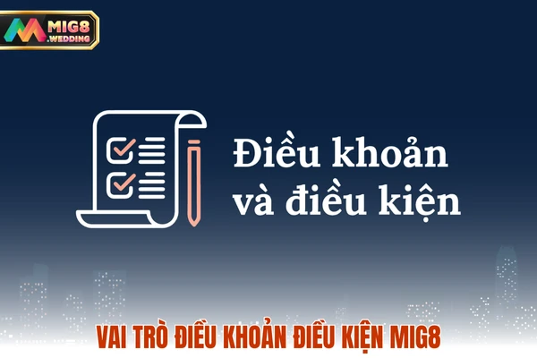 Vai trò điều khoản điều kiện MIG8