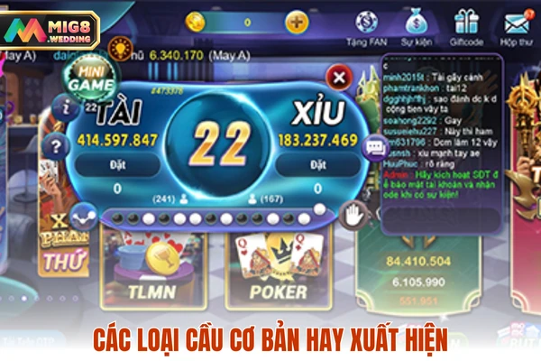 Các loại cầu cơ bản hay xuất hiện