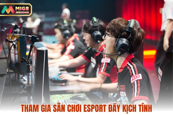 Tham gia sân chơi Esport đầy kịch tính