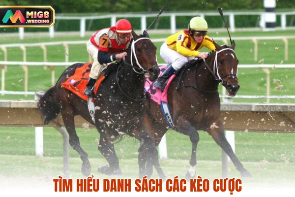 Tìm hiểu danh sách các kèo cược